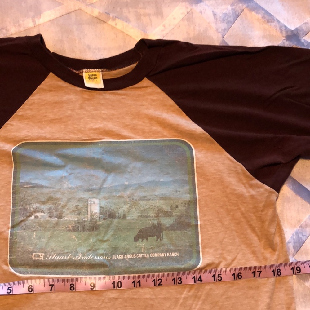 Vintage brown and tan T shirt with decal